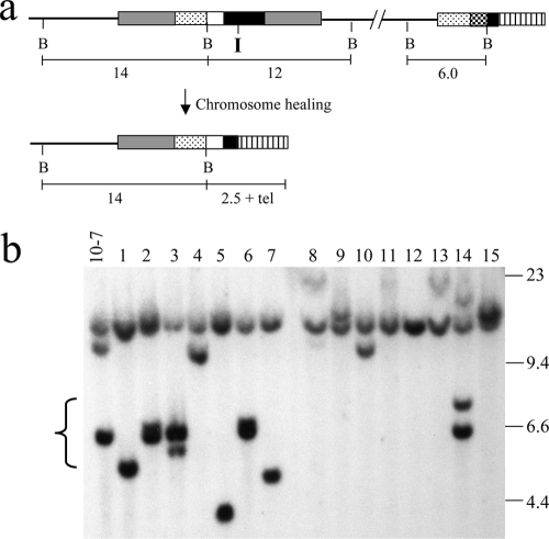 FIG. 8.