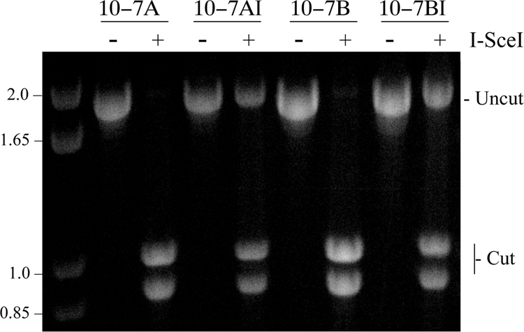 FIG. 7.