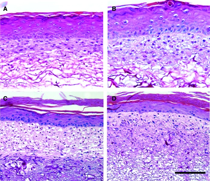 FIG. 9.