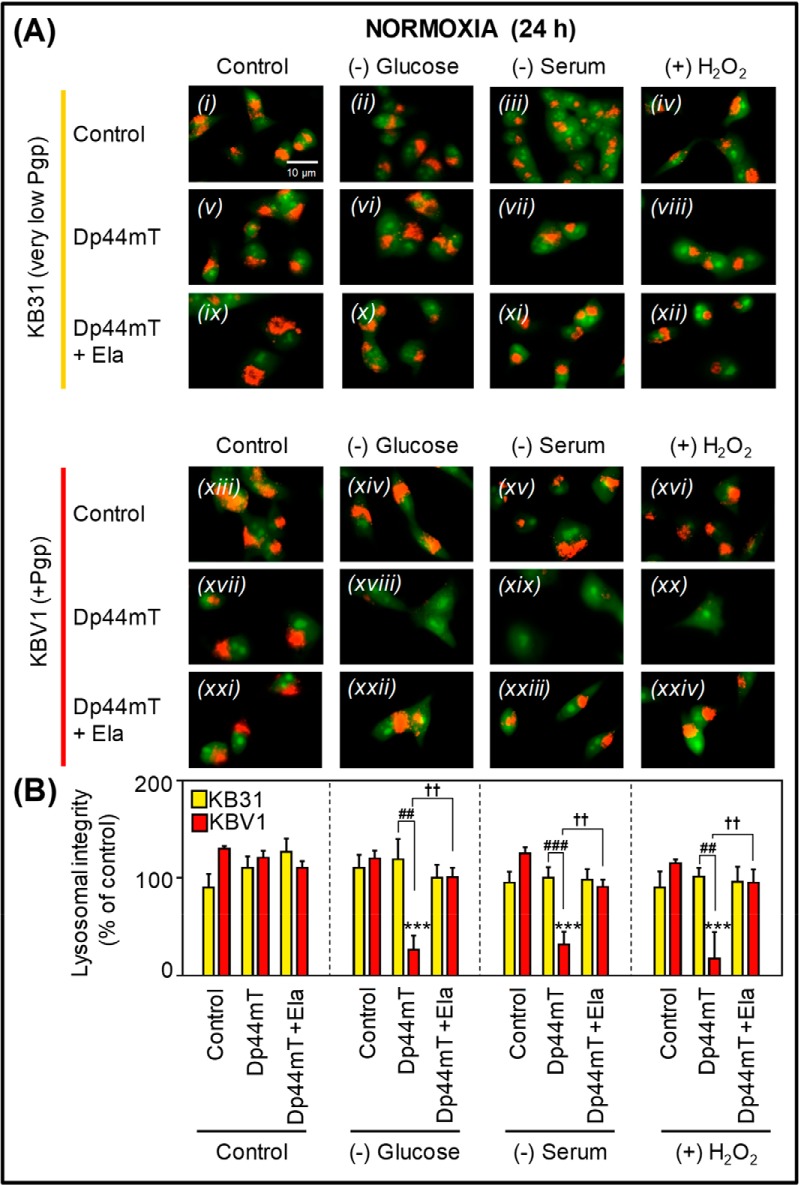 Figure 10.