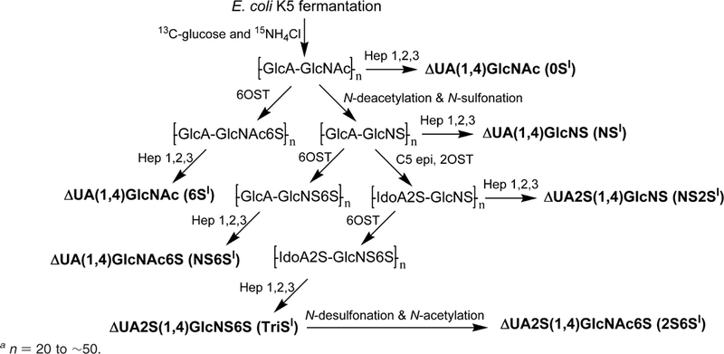 Scheme 1.