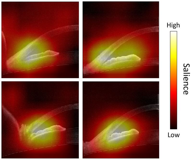 Figure 4: