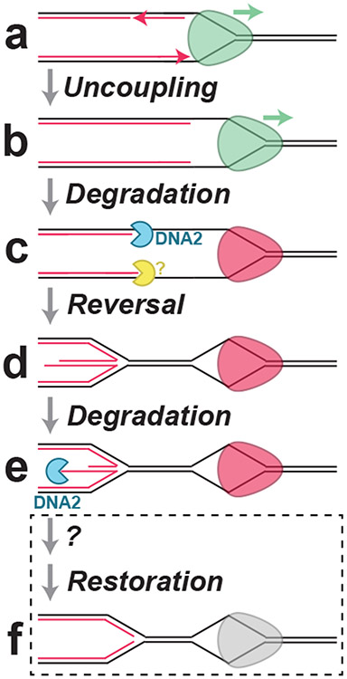 Figure 7: