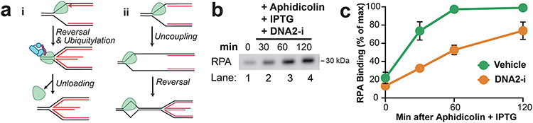 Extended Data Fig. 7