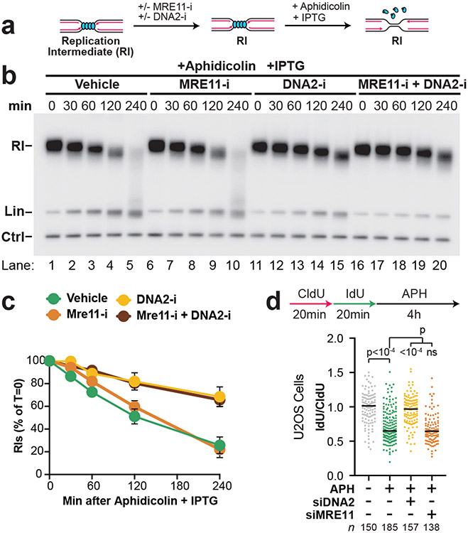 Figure 2: