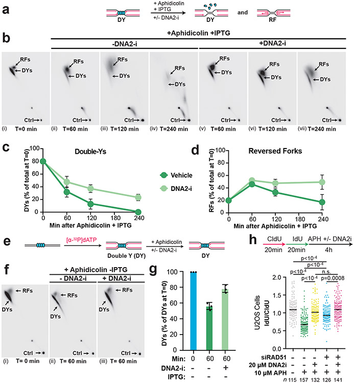 Figure 6: