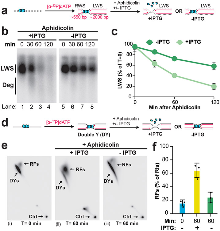 Figure 4: