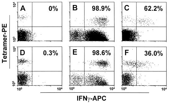 FIG. 2.