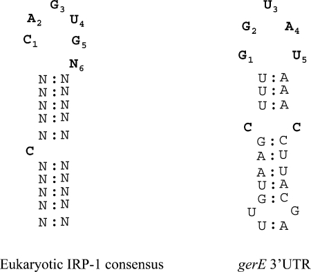 FIG. 7.