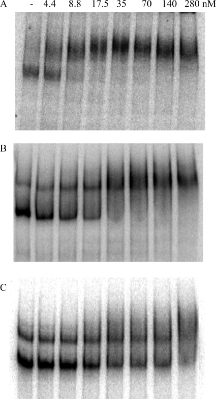 FIG. 8.