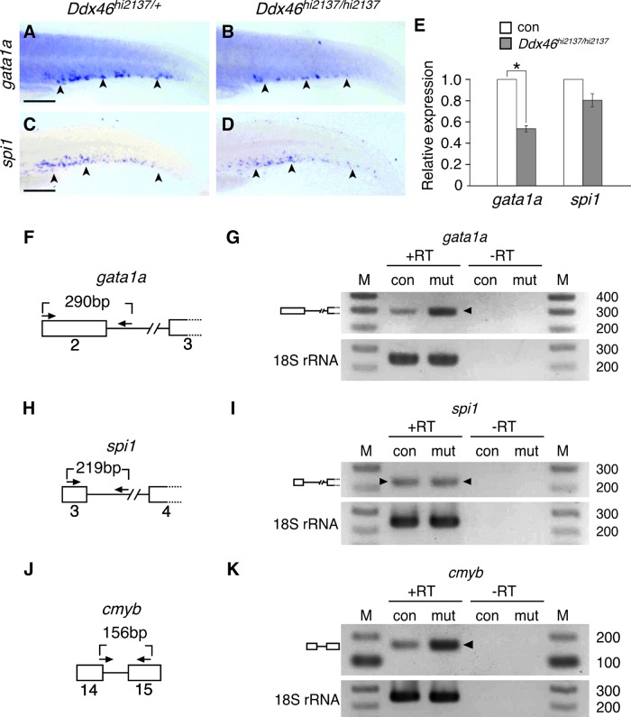 FIG. 8.