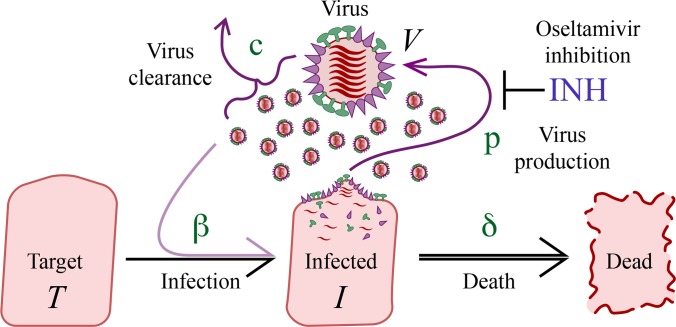 FIG 1