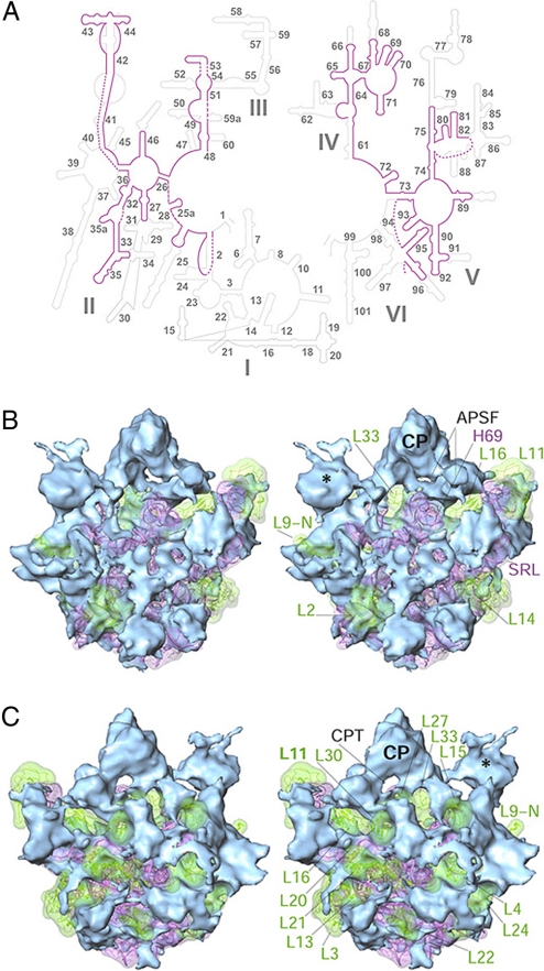 Fig. 3.