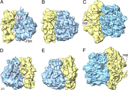 Fig. 1.