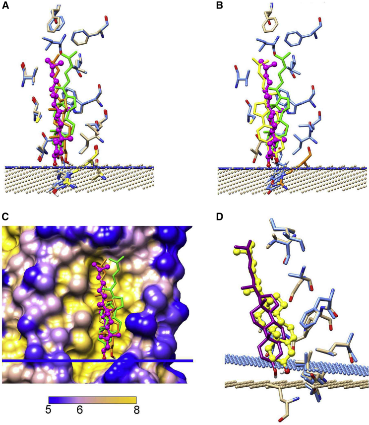 Figure 5