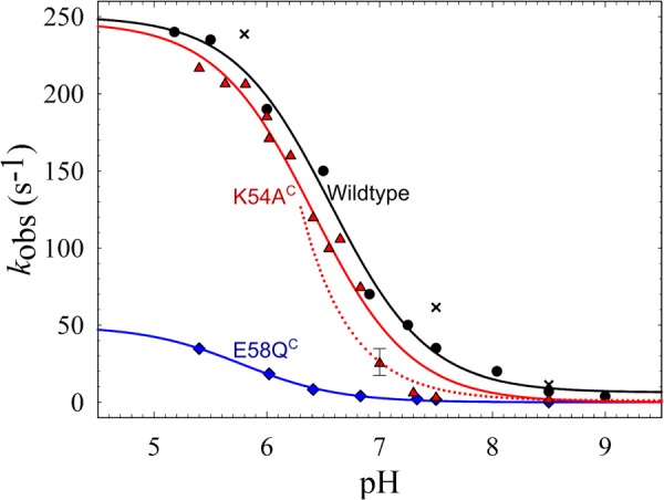 FIGURE 4.