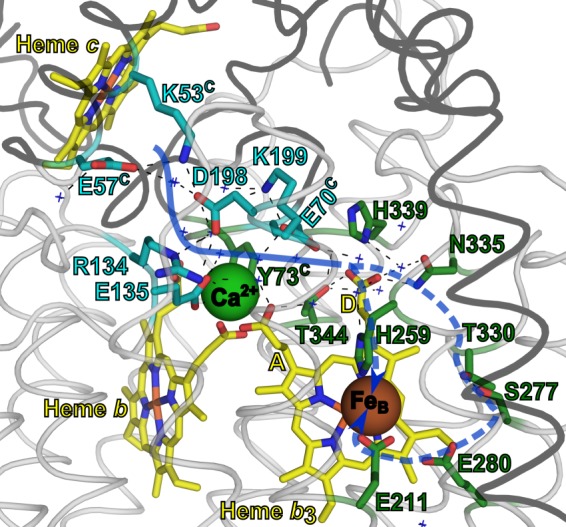 FIGURE 5.