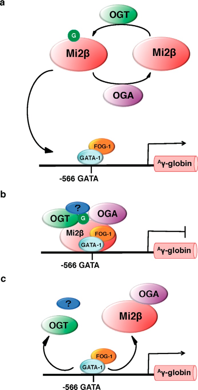 FIGURE 9.