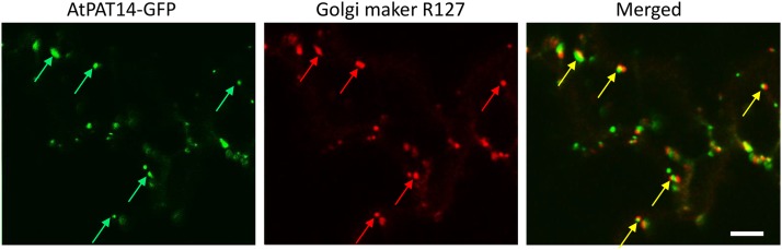 Figure 4.