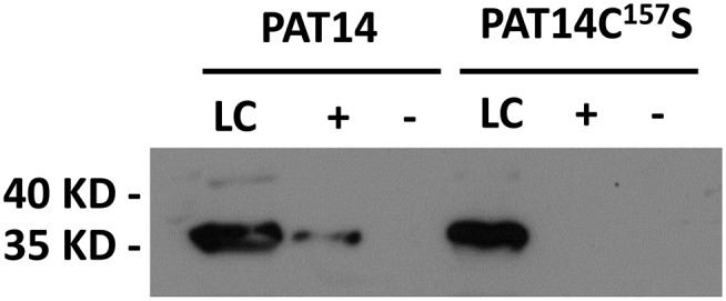 Figure 3.