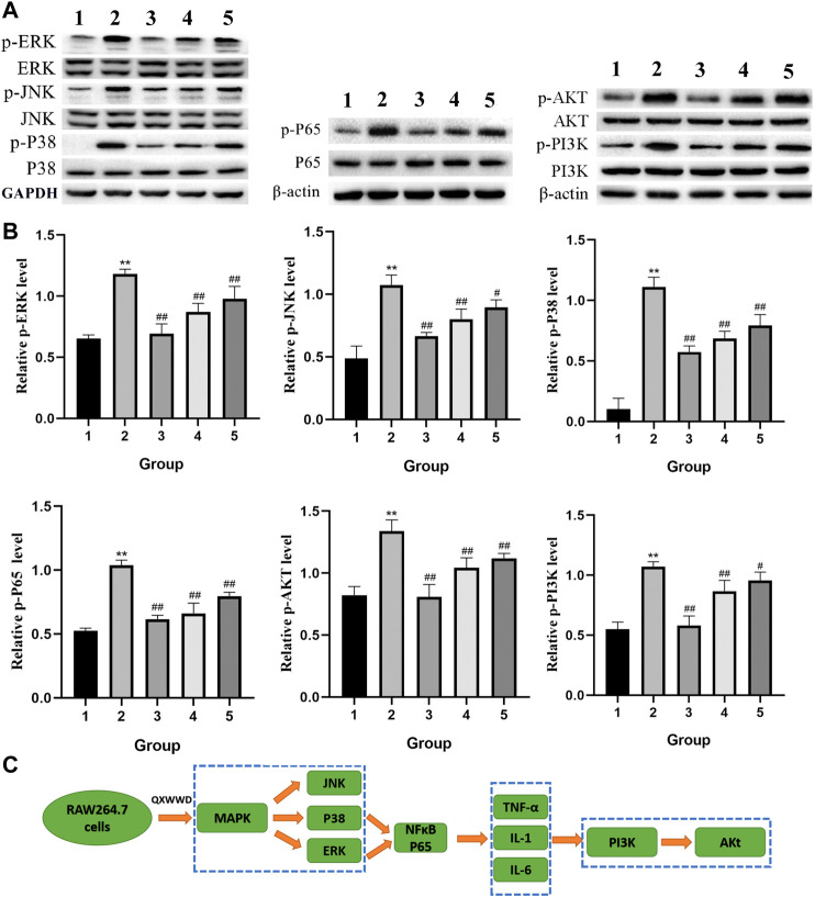 FIGURE 12