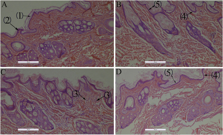 FIGURE 13