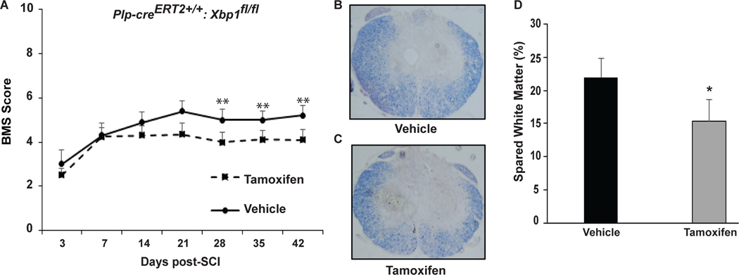 Figure 6: