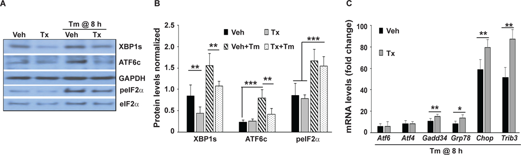 Figure 3: