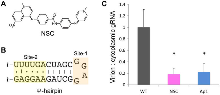 Figure 19