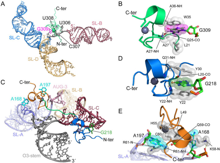 Figure 16