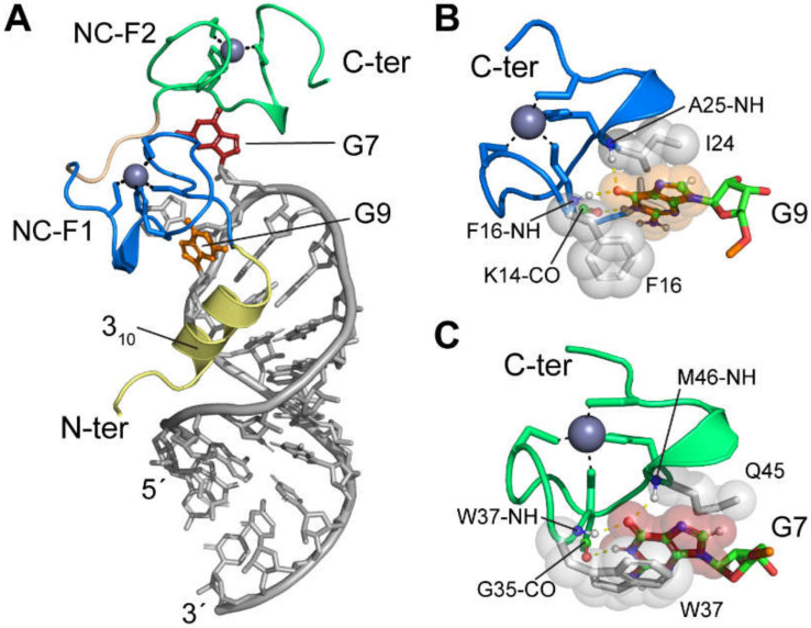 Figure 15