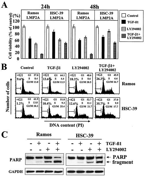 FIG. 7.