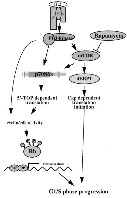 FIG. 9