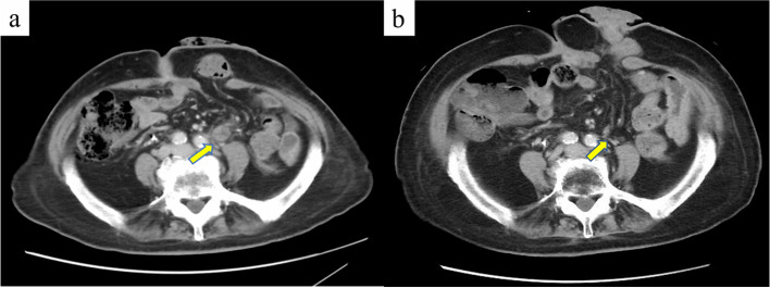 Fig. 8