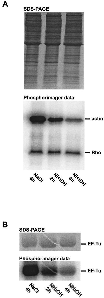 FIG. 5.