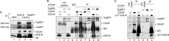 FIG. 5.