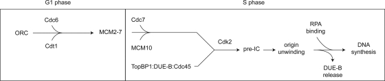 FIG. 9.