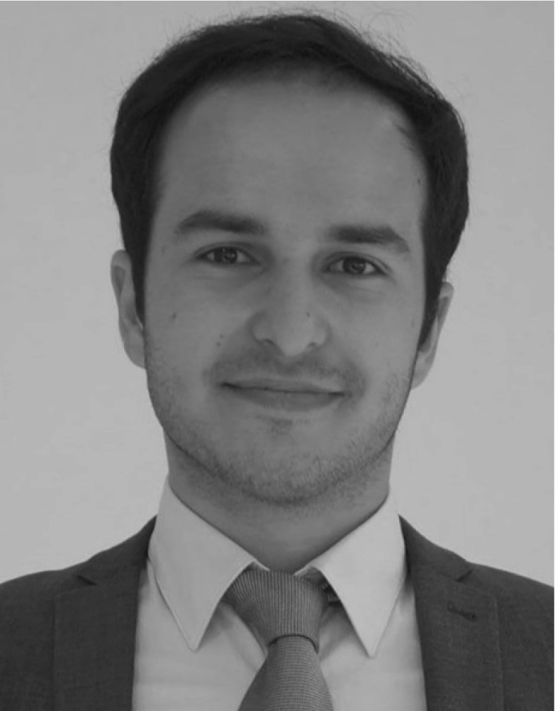 graphic file with name 10514_2018_9760_Figa_HTML.jpg