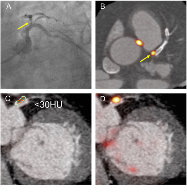 Fig. 5.