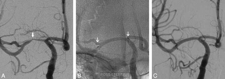 Fig 1.