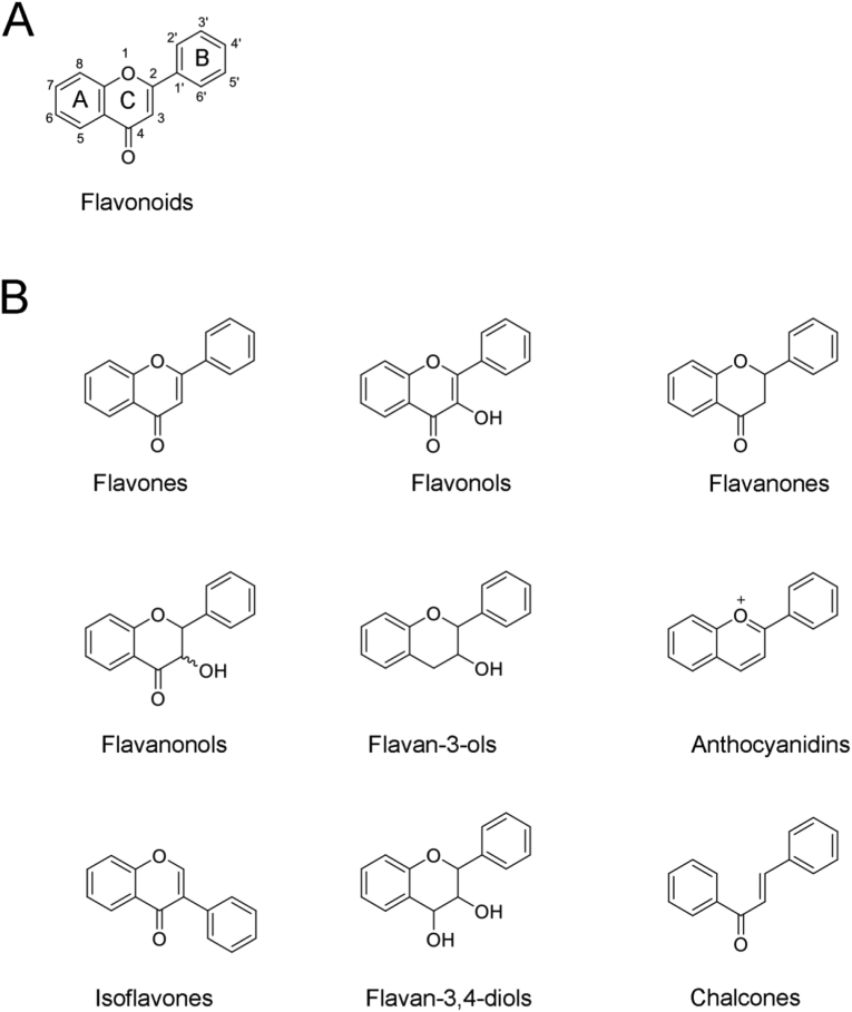 Figure 1