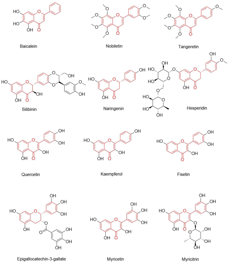 Figure 3