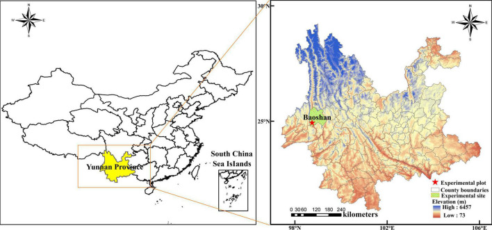 FIGURE 1