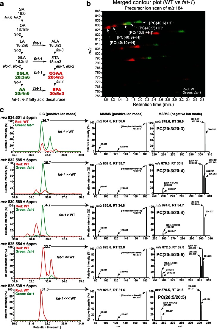 Fig. 4