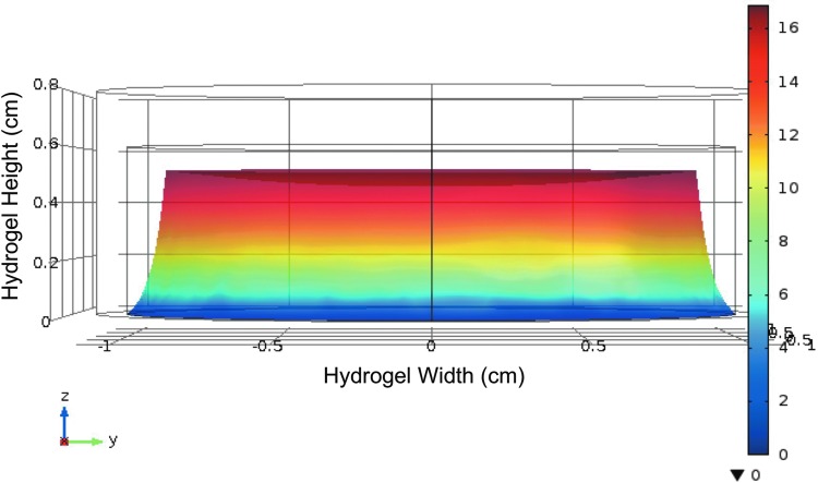 FIG. 1.
