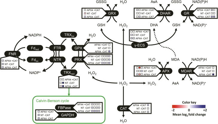 Fig. 10.