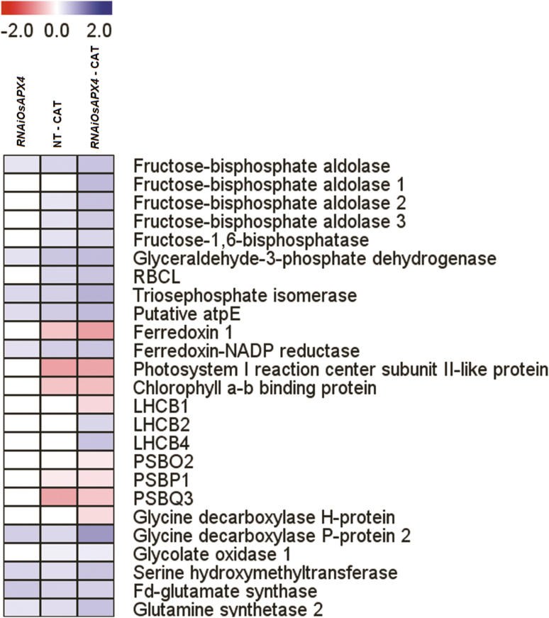 Fig. 7.