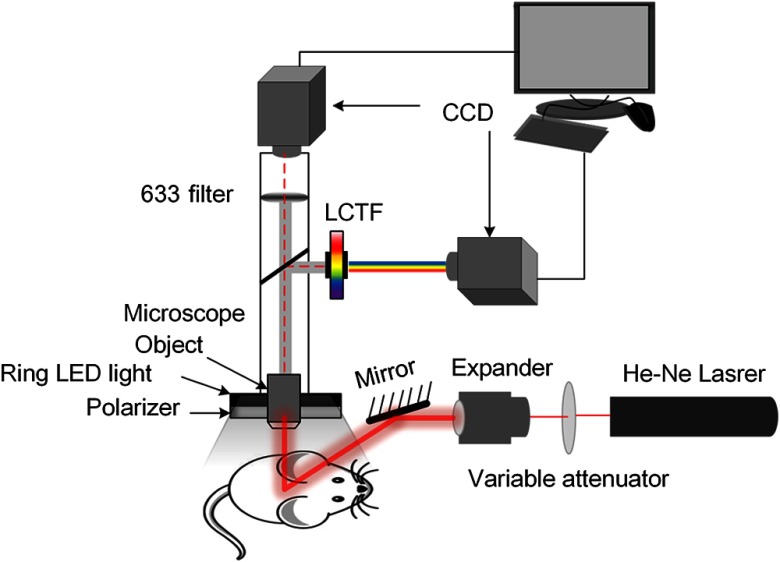 Fig. 1