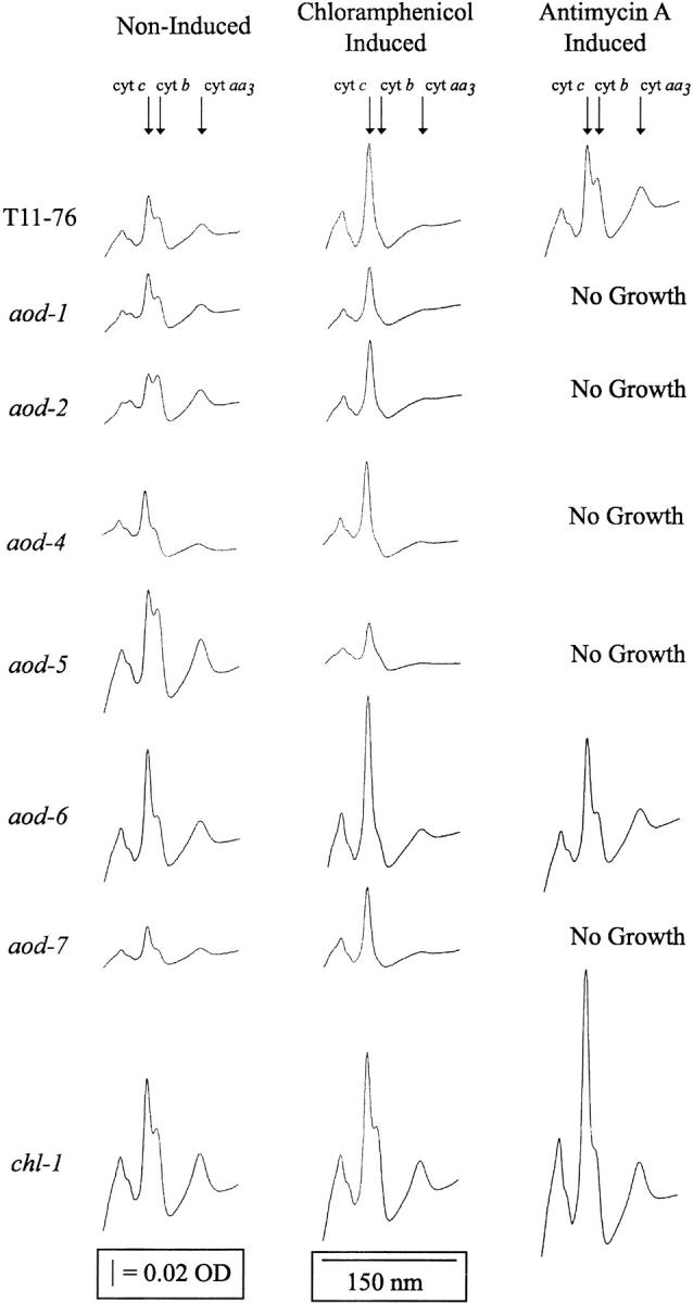 Figure 6.—