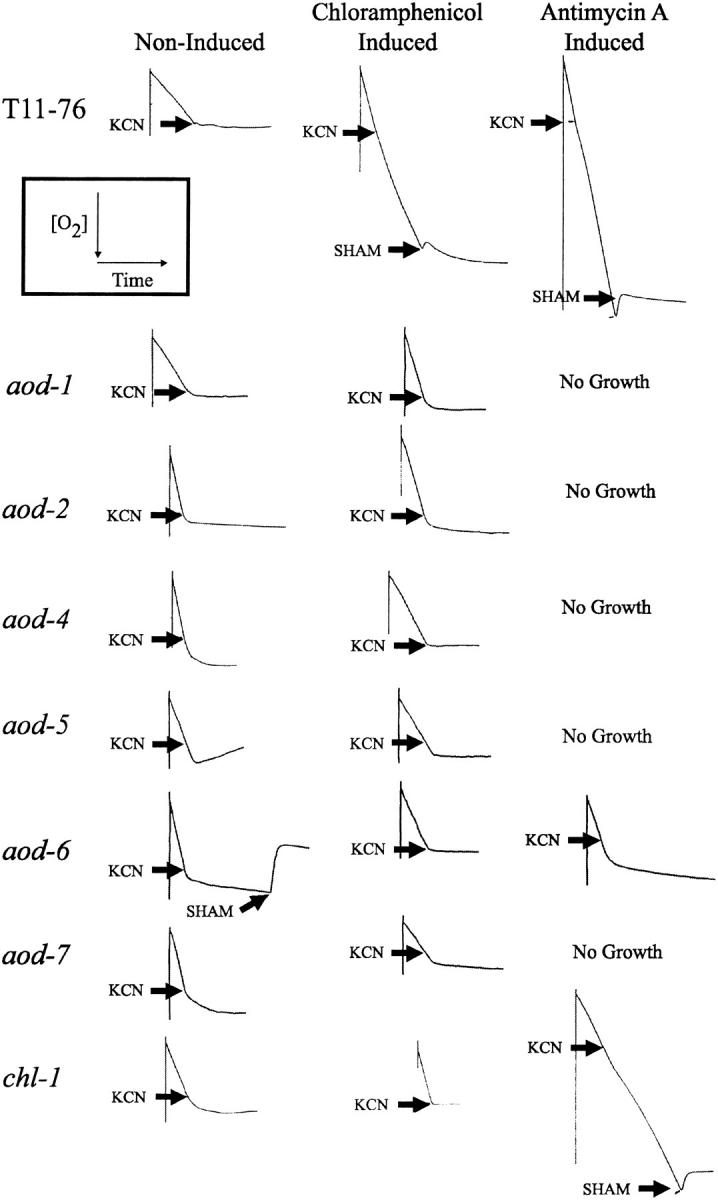 Figure 4.—